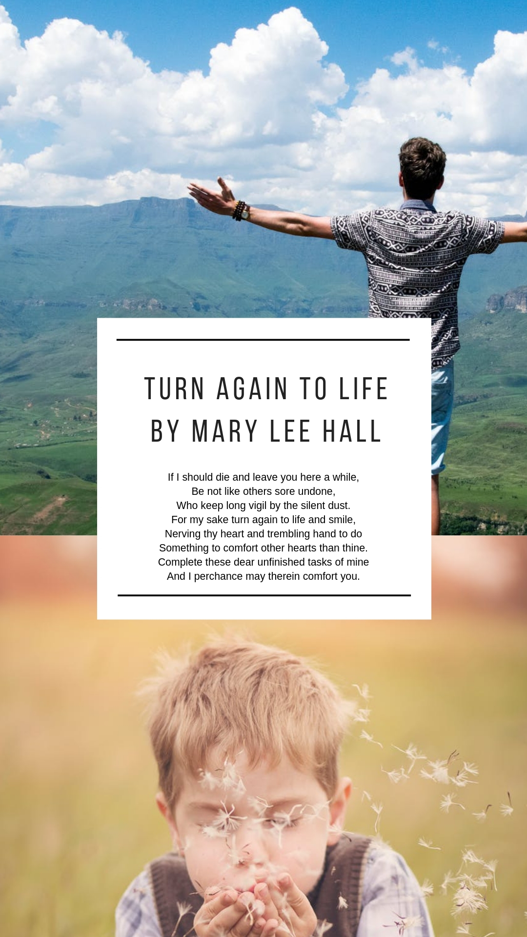 Turn Again to Life by Mar Lee Hall